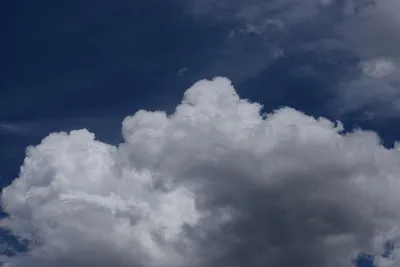 DSC_3156 (Large).JPG